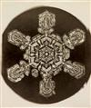 BENTLEY, WILSON A. (1865-1931) A suite of 4 photographs, comprising 2 frost studies and 2 early snow crystals.